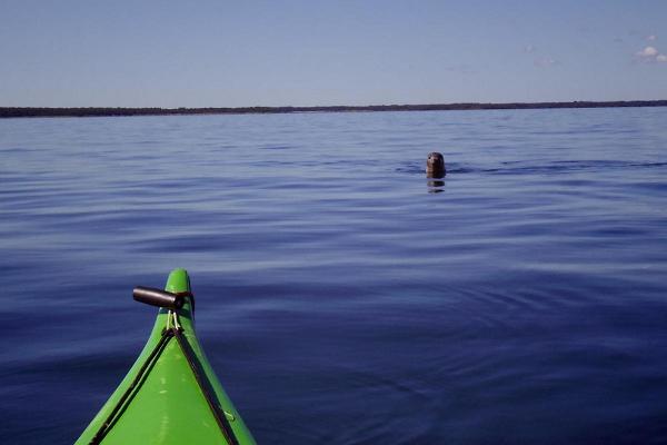 Kayak trip to the islet protection area in Hiiumaa