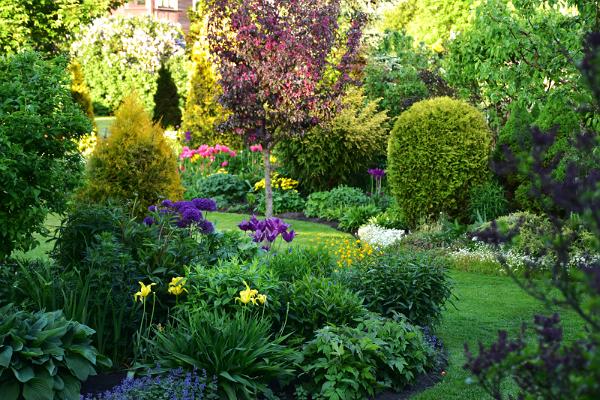 Maie Aed - a colourful home garden near Pärnu