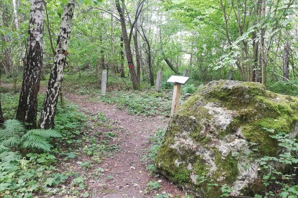 Muhu nature trail