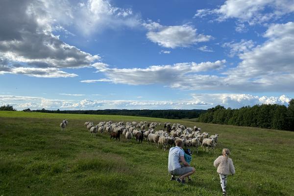 Kenshó Unique Stay @Valgjärve