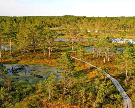 Nature Tour: Landscapes characteristic of Estonia can be found in Lahemaa National Park