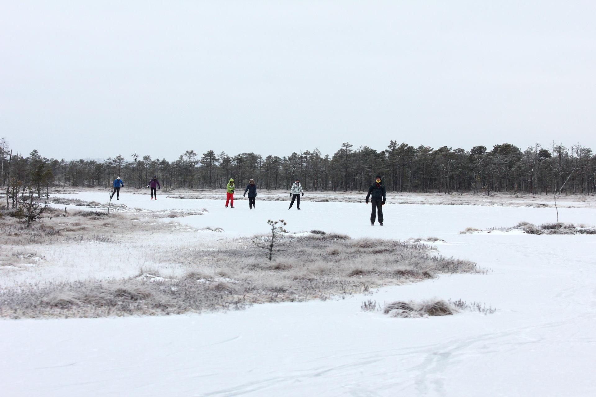 Ice skating on the bog-pools of Rubina Bog in the historical Mulgimaa - pilt