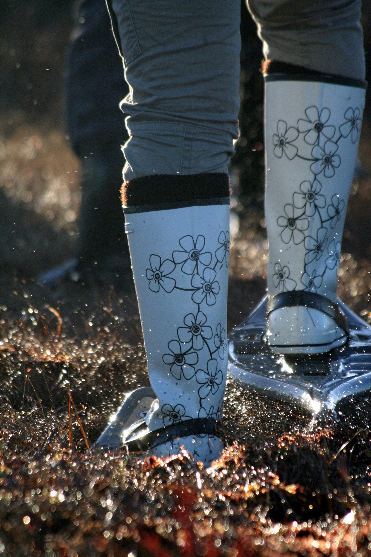 Bogshoe hike in the Rubina Weltands in Mulgimaa - pilt