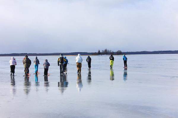 sich entfernende Menschen mit Tretschlitten auf dem Eis des Sees Võrtsjärv