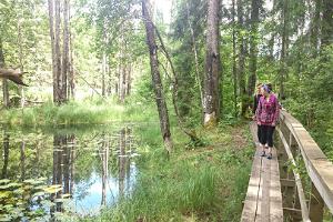 Beaver Trail in Soomaa National Park