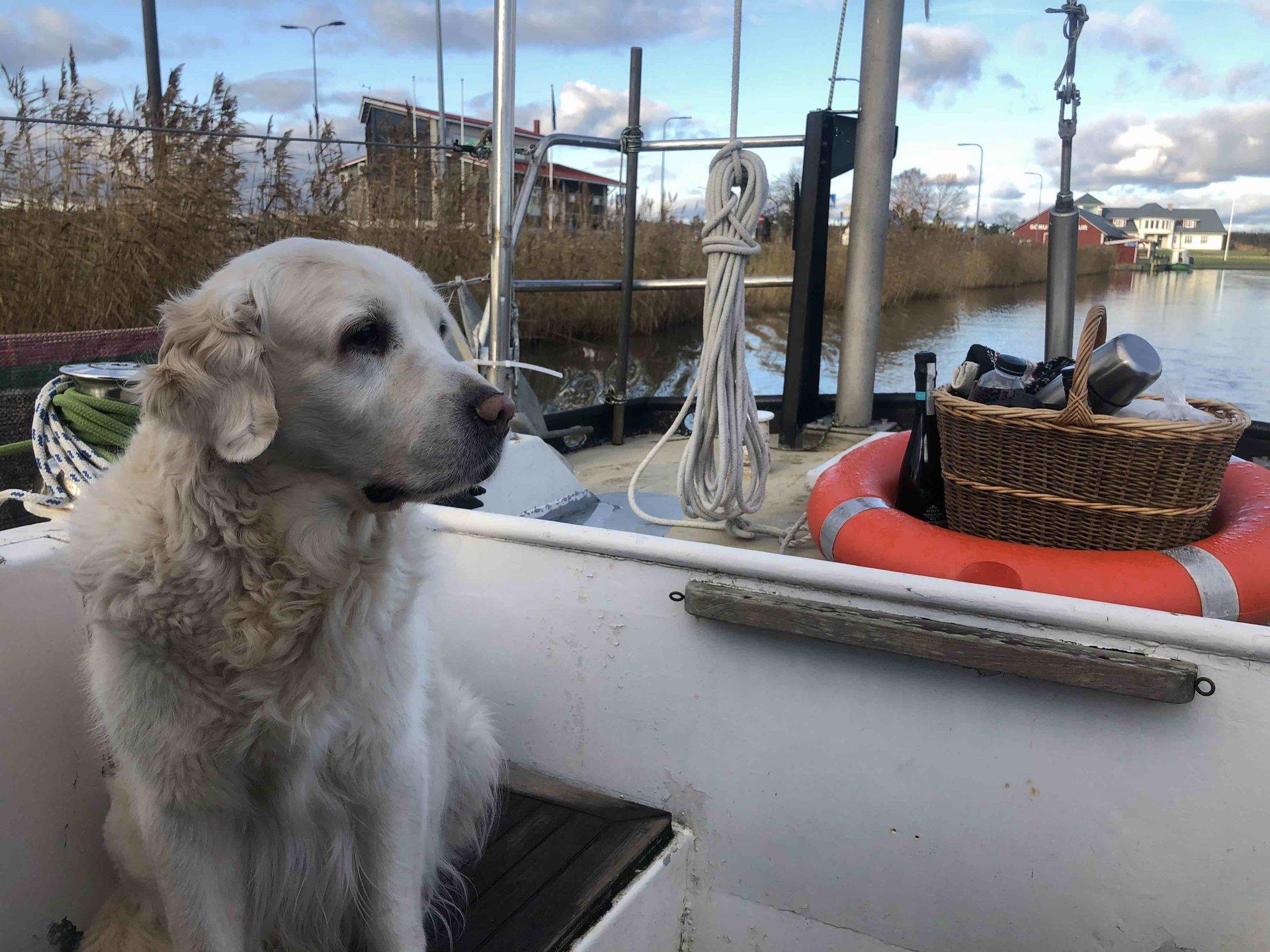 Merematkad Sõru ümbruses