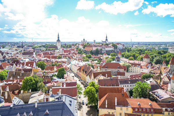 Opastettu kierros Tallinnan vanhassakaupungissa ja Kadriorgissa