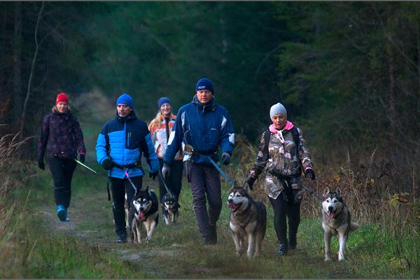 Wanderer und Schlittenhunde in der Natur des Landschaftsschutzgebiets