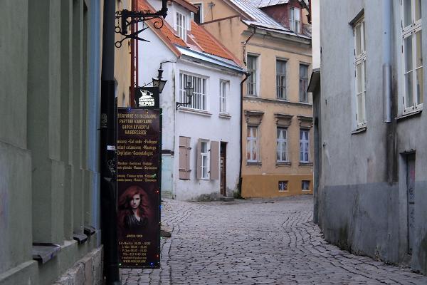 Ekskursija gida pavadībā Tallinas vecpilsētā un Kadriorgā