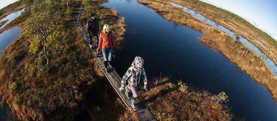 TOP nachhaltige Urlaubsziele in Estland