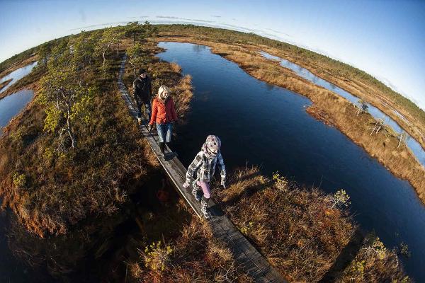 TOP nachhaltige Urlaubsziele in Estland
