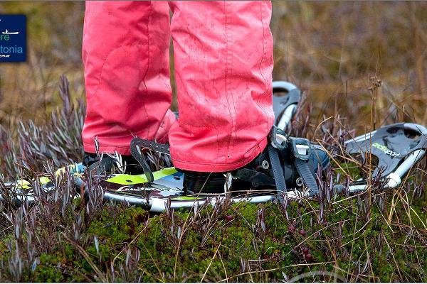 "Nature Tours Estonia" pārgājiens ar sniega kurpēm uz Peipsivēres dabas rezervāta purva saliņām