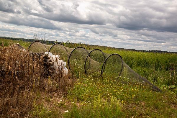 Kalastamine Võrtsjärvel