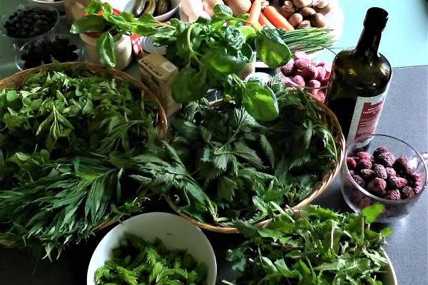 Triin Muiste: weeds for food workshop