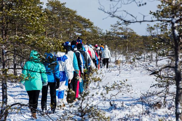 Talvine räätsaretk Männikjärve rabas