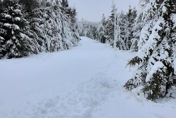 Kuningamäe health trails