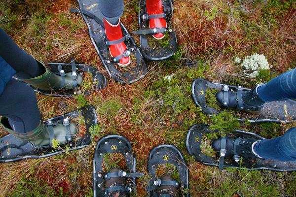 Snowshoe hike in Männikjärve bog