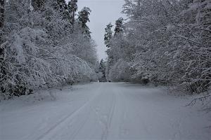 Talv Otepää Looduspargis