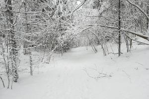 Otepää looduspark talvel