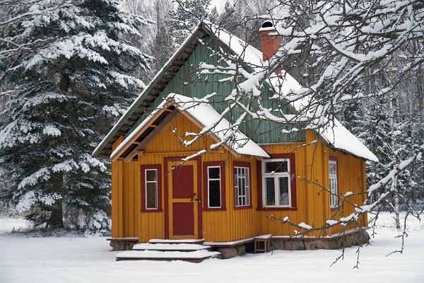 Nedsaja Forest Hut