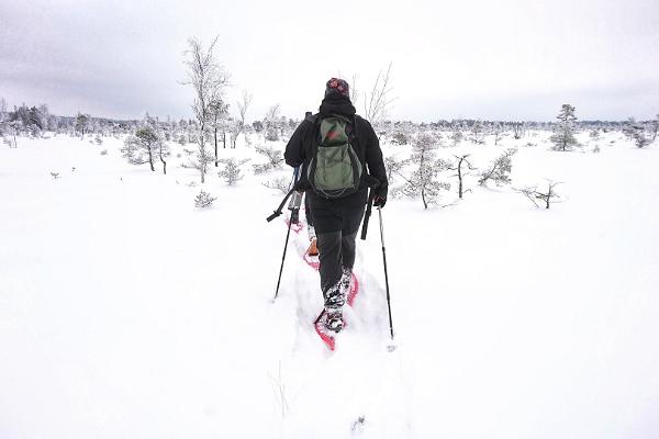 Seikle Vabaks vandringsäventyr med snöskor i Tolkuse högmosse