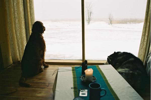 View from the large window of a straw bale house to the snowy Lake Peipus