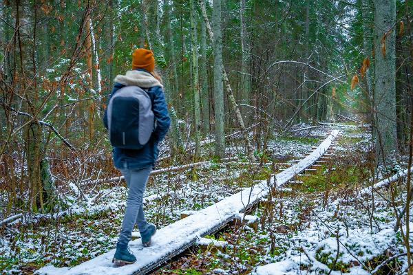 Wanderweg Võlingi