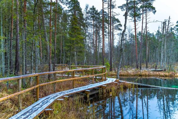 Võlingi hiking trail