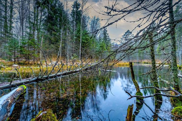 Võlingin vaellusreitti