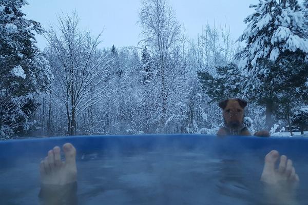 Kymble - Kümblustünni / tünnisauna rent Tartumaal, aurav vesi kümblustünnis talvisel ajal ja koer