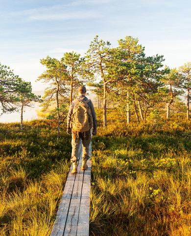 Ringikujulised matkarajad Põhja-Eestis