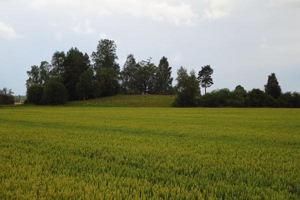 Lammasmägi hill, Kunda