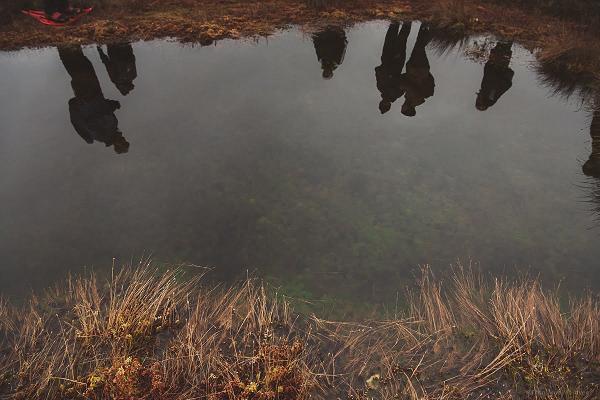 A hike in the Kõnnu Suursoo bog and an Estonian sauna, starting from Tallinn