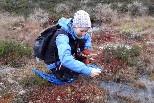 A hike in the Kõnnu Suursoo bog and an Estonian sauna, starting from Tallinn