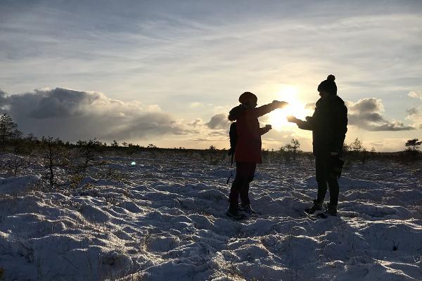 Tagesreise: Ausflug im Hochmoor und estnische Sauna