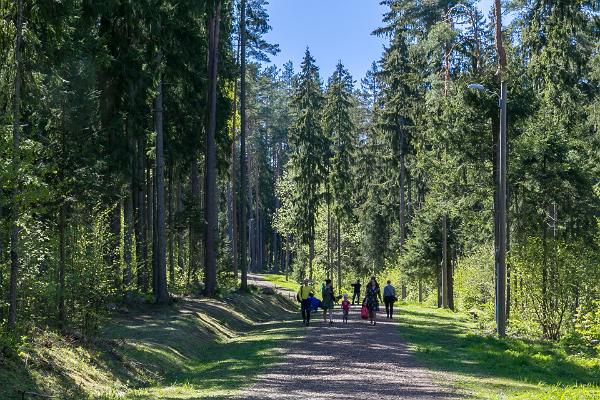 Vooremäe Health Sports Centre health trails in summer