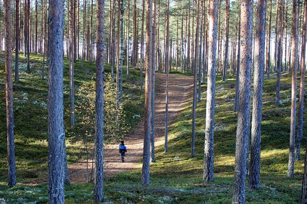 RMK Nohipalo study trail