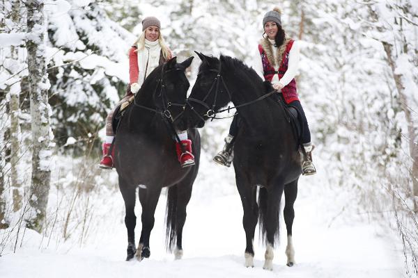 Mounted trips at Juurimaa Stables