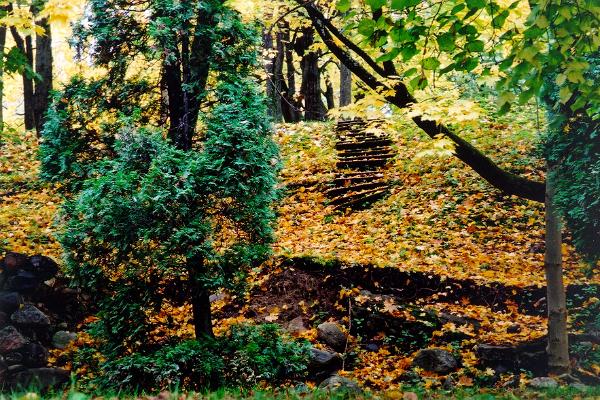 Litteraturpromenad i Tartu: Domberget på hösten, färgglada löv på trapporna