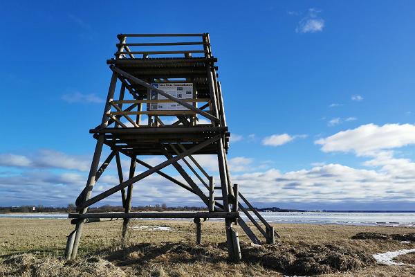Vana-Pärnu birdwatching tower