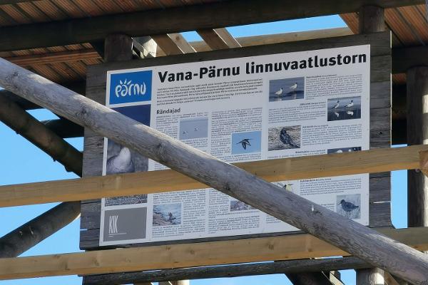Смотровая вышка для наблюдения за птицами в Вана-Пярну
