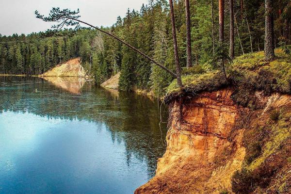 Wanderweg der Staatlichen Forstverwaltung Kiidjärve-Taevaskoja-Kiidjärve