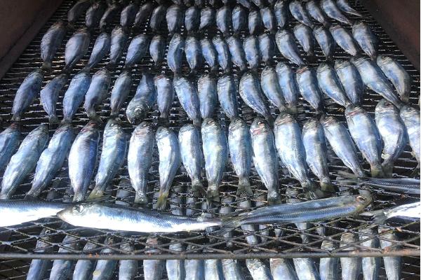 Krodziņā "Sõru" piedāvājam vietējos ūdeņos zvejotas zivis, kā arī paši kūpinām zivis
