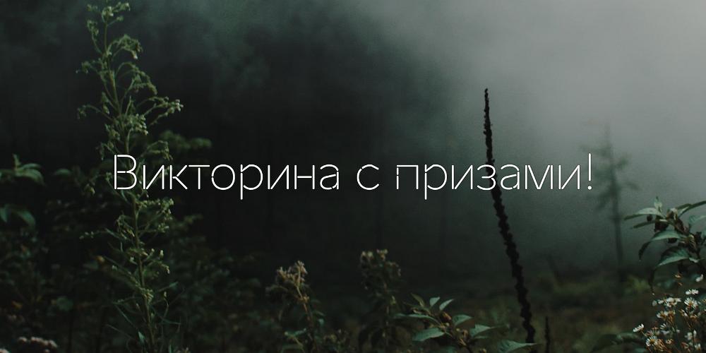Целебные силы Эстонии - викторина