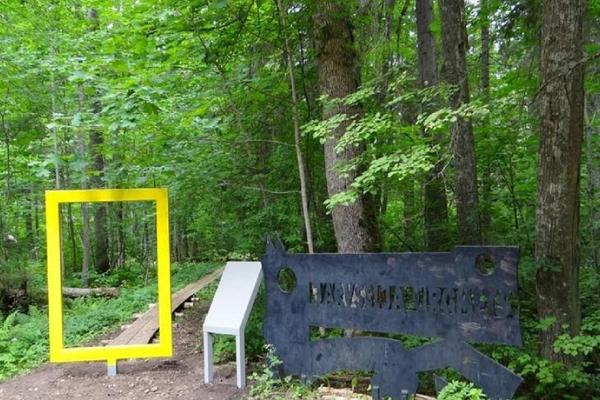 Naturlehrpfad im Urwald Järvselja