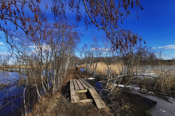 Penijõe River hiking trails 