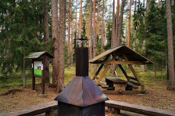 Naturlehrpfad der Staatlichen Forstverwaltung in Kolga