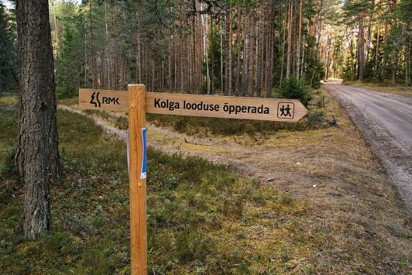 Naturlehrpfad der Staatlichen Forstverwaltung in Kolga