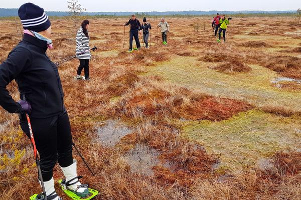 Pārgājiens ar sniega kurpēm Mēnikunno purvā