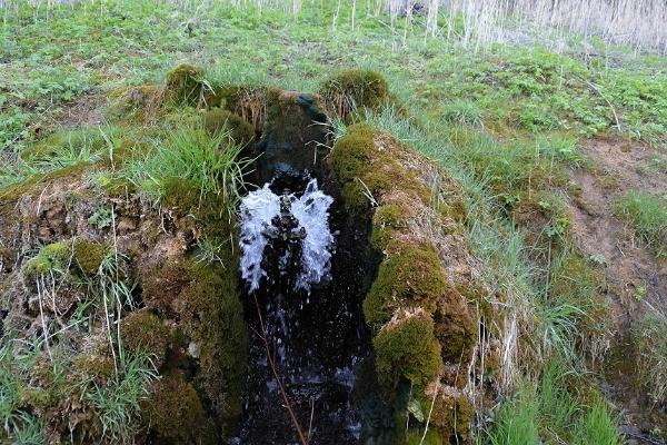 Wasserböcke im Tal Tindiorg (Vesioinad Tindiorus)